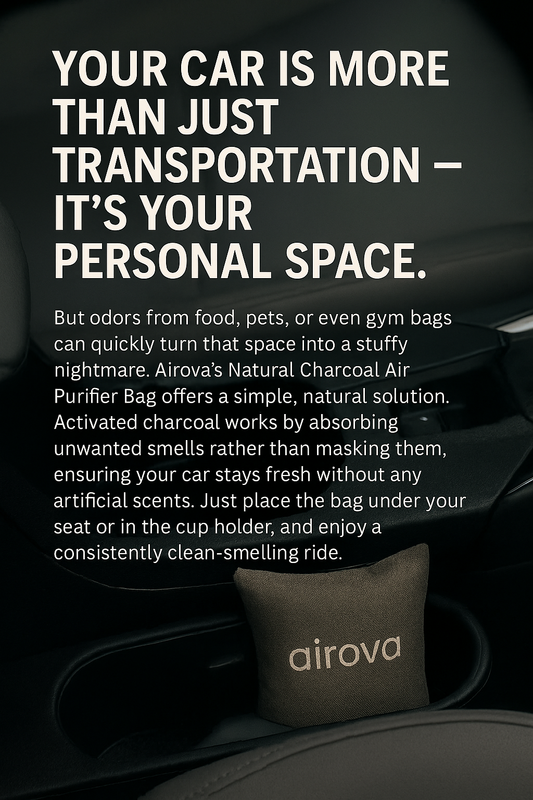 Freshen Up Your Ride: Why Your Car Needs Airova’s Natural Charcoal Air Purifier